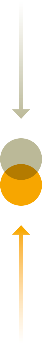 Recruiting Fitting Prozess 7